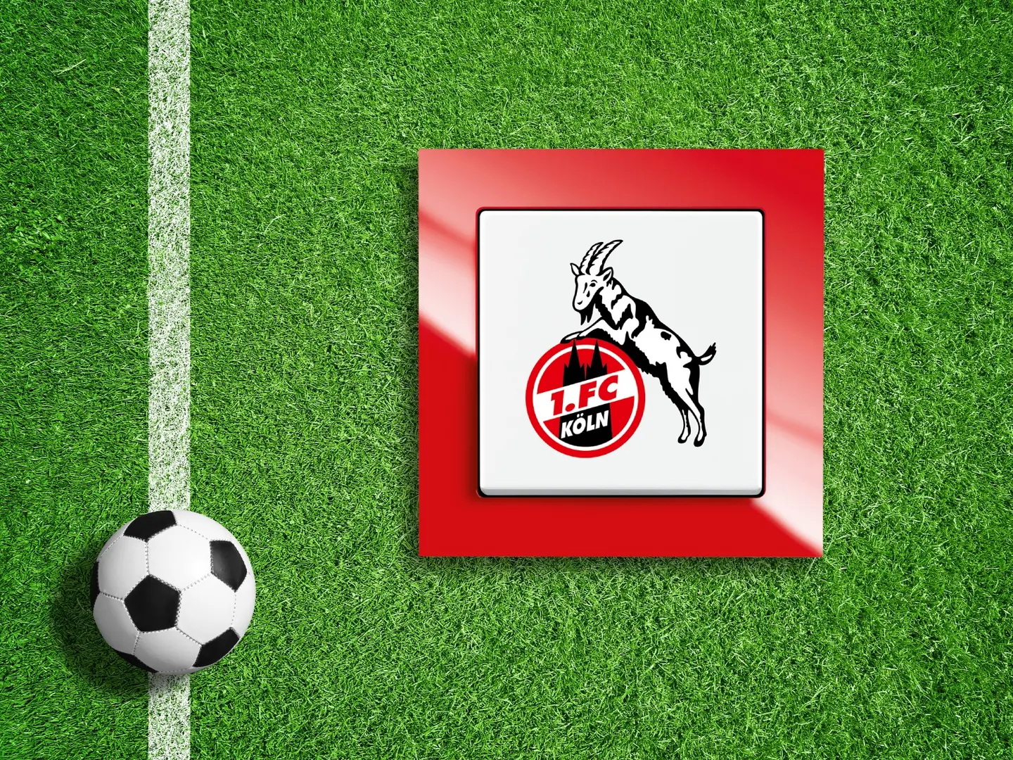 Fußball neben dem Fanschalter "1. FC Köln" auf grünem Rasen.