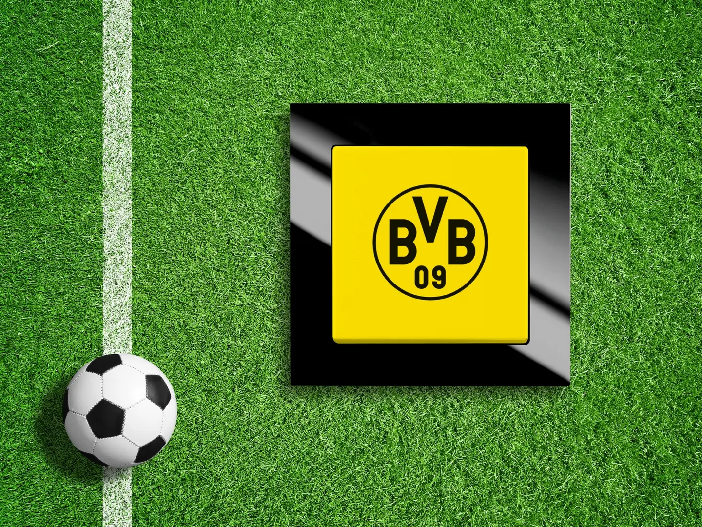 Fußball neben dem Fanschalter "Borussia Dortmund" auf grünem Rasen.