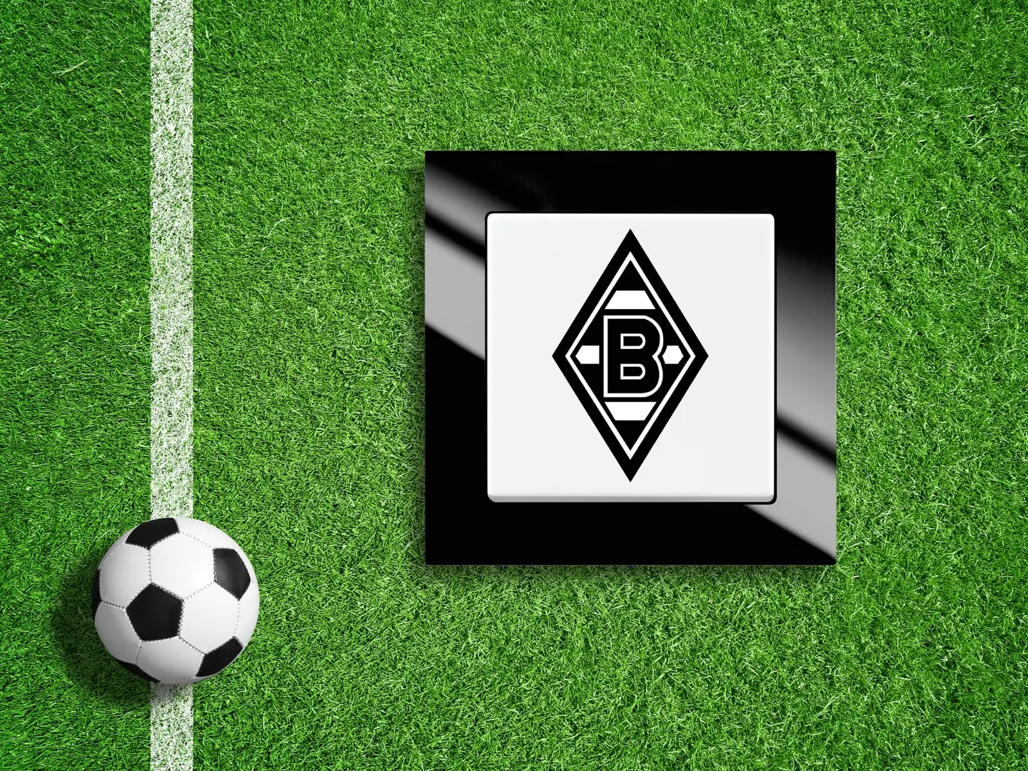 Fußball neben dem Fanschalter "Borussia Mönchengladbach" auf grünem Rasen.