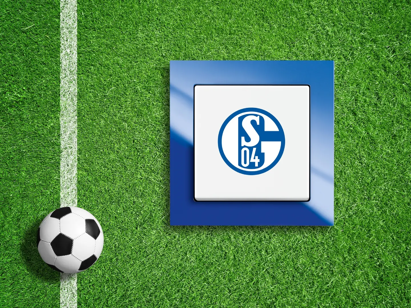 Fußball neben dem Fanschalter "FC Schalke 04" auf grünem Rasen.